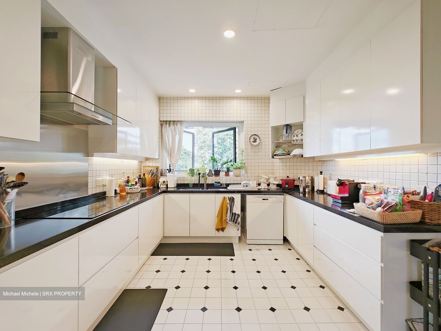 The Arcadia (D11), Condominium #437039821